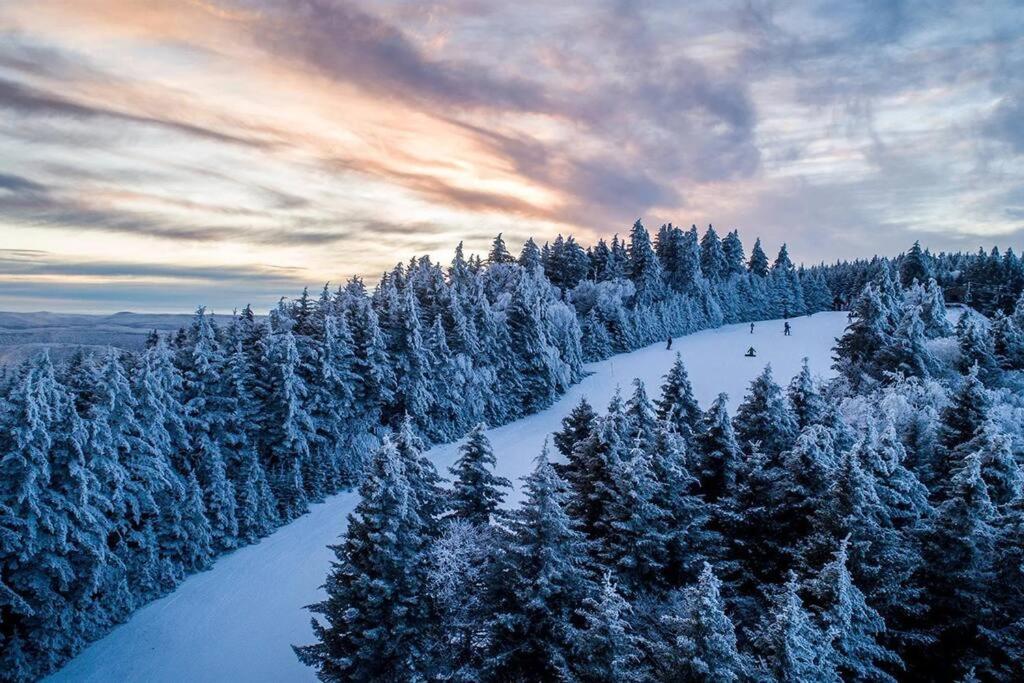 סנואושו Mountain Lodge Getaway, Ski-In/Ski-Out, Heart Of The Village מראה חיצוני תמונה